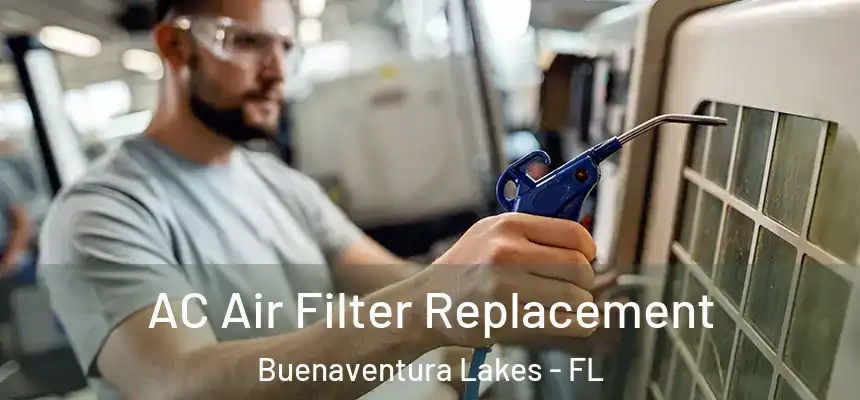 AC Air Filter Replacement Buenaventura Lakes - FL