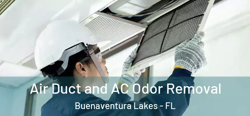 Air Duct and AC Odor Removal Buenaventura Lakes - FL