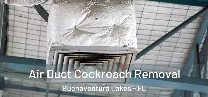 Air Duct Cockroach Removal Buenaventura Lakes - FL