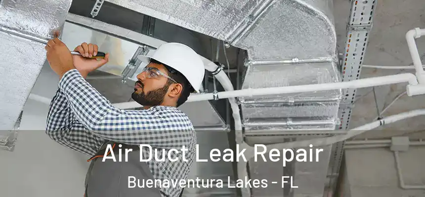 Air Duct Leak Repair Buenaventura Lakes - FL