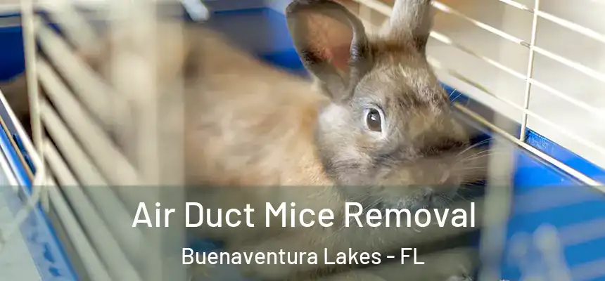 Air Duct Mice Removal Buenaventura Lakes - FL