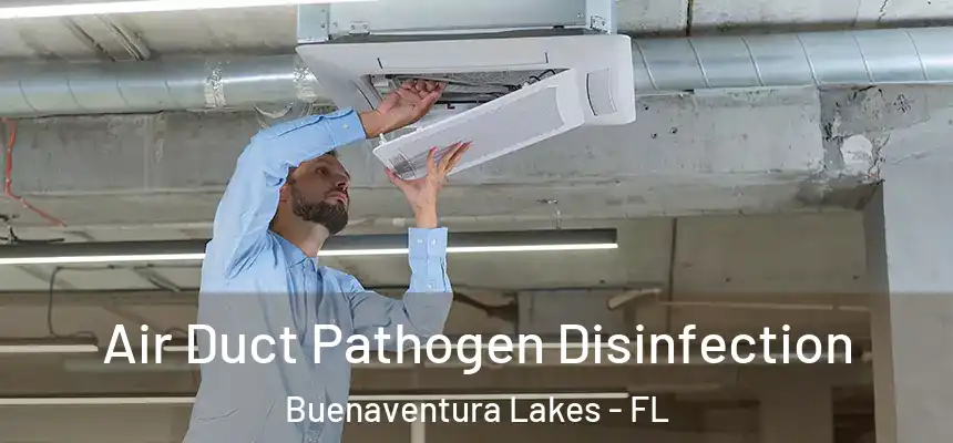 Air Duct Pathogen Disinfection Buenaventura Lakes - FL