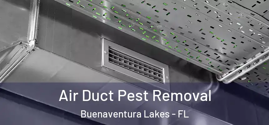 Air Duct Pest Removal Buenaventura Lakes - FL