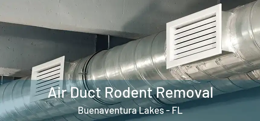 Air Duct Rodent Removal Buenaventura Lakes - FL
