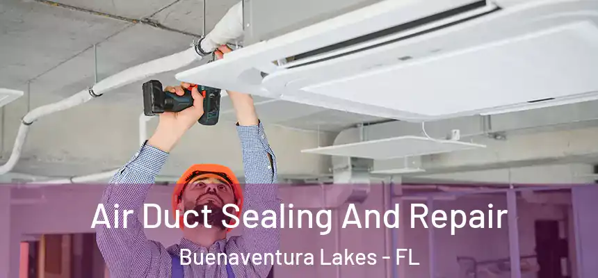 Air Duct Sealing And Repair Buenaventura Lakes - FL