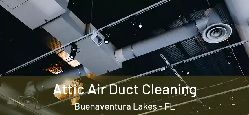 Attic Air Duct Cleaning Buenaventura Lakes - FL