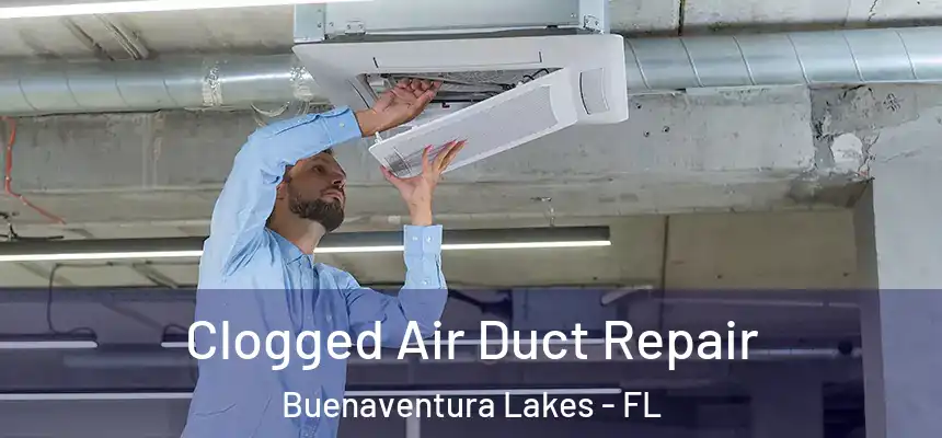 Clogged Air Duct Repair Buenaventura Lakes - FL
