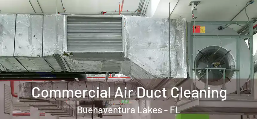 Commercial Air Duct Cleaning Buenaventura Lakes - FL
