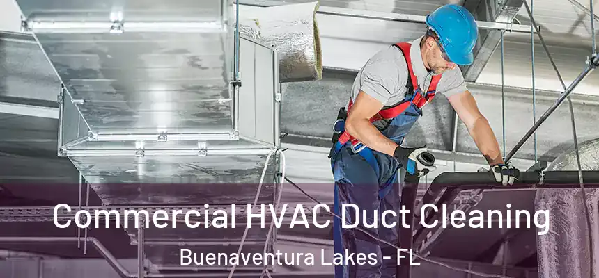 Commercial HVAC Duct Cleaning Buenaventura Lakes - FL