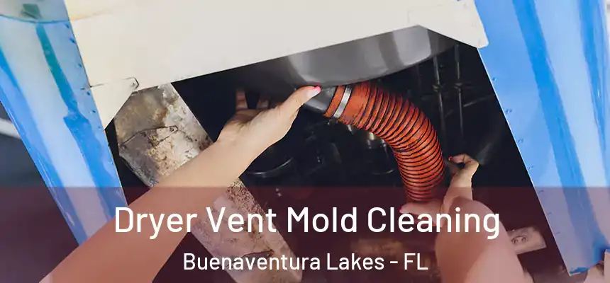 Dryer Vent Mold Cleaning Buenaventura Lakes - FL