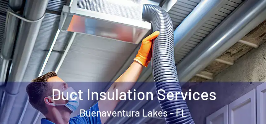Duct Insulation Services Buenaventura Lakes - FL