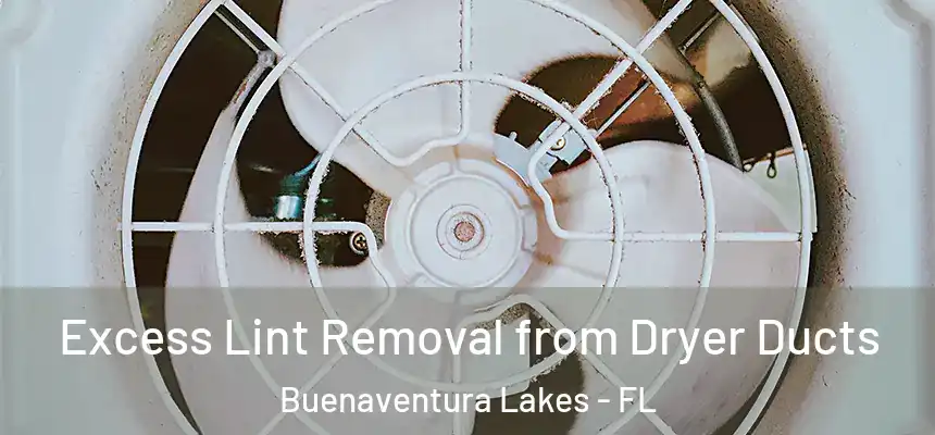 Excess Lint Removal from Dryer Ducts Buenaventura Lakes - FL