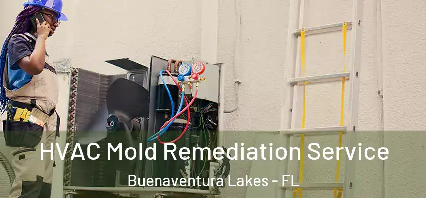 HVAC Mold Remediation Service Buenaventura Lakes - FL
