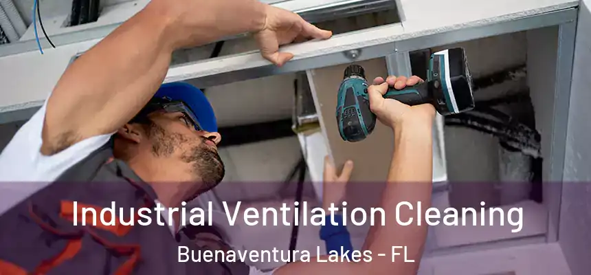 Industrial Ventilation Cleaning Buenaventura Lakes - FL