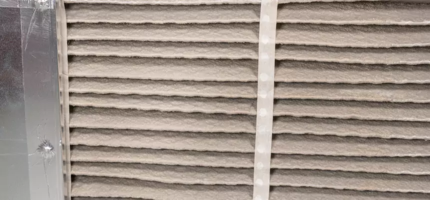 Mobile Car AC Filter Replacement in Buenaventura Lakes