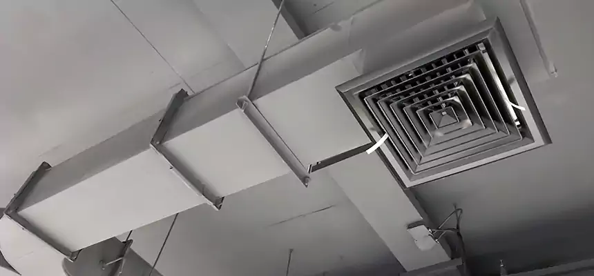 Restorative Allergy Relief Vent Cleaning – Coil, Blower & Housing Detail in Buenaventura Lakes