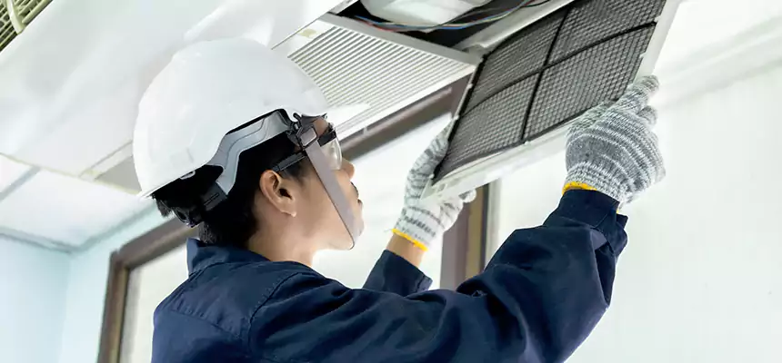 Our Mold & Mildew Removal from Air Ducts Services in Buenaventura Lakes, FL