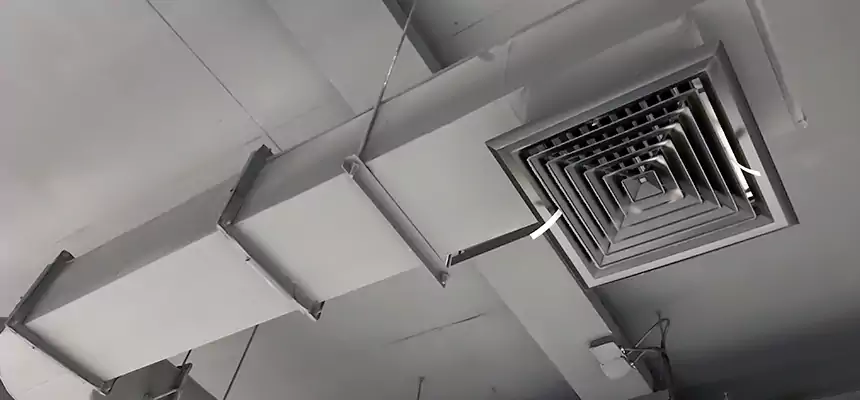 Our Pest Removal From Ducts Services in Buenaventura Lakes, FL