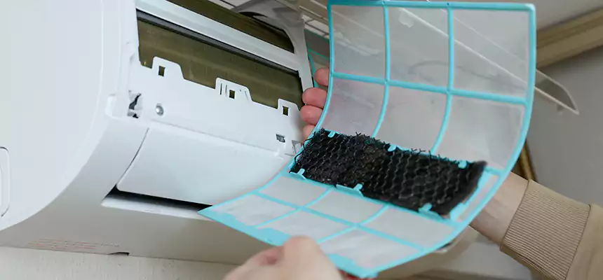 Gentle Ductwork Odor-Control Pet Dander Duct Cleaning in Buenaventura Lakes, FL