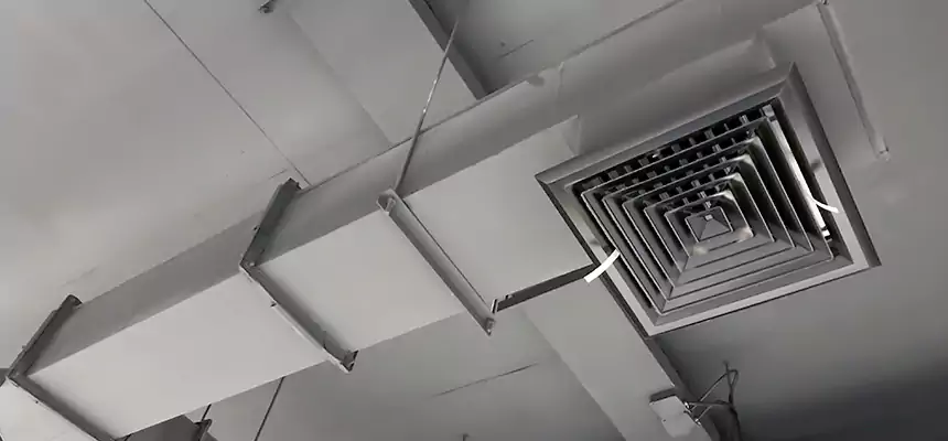 Our Rodent Droppings In Vents Services in Buenaventura Lakes, FL