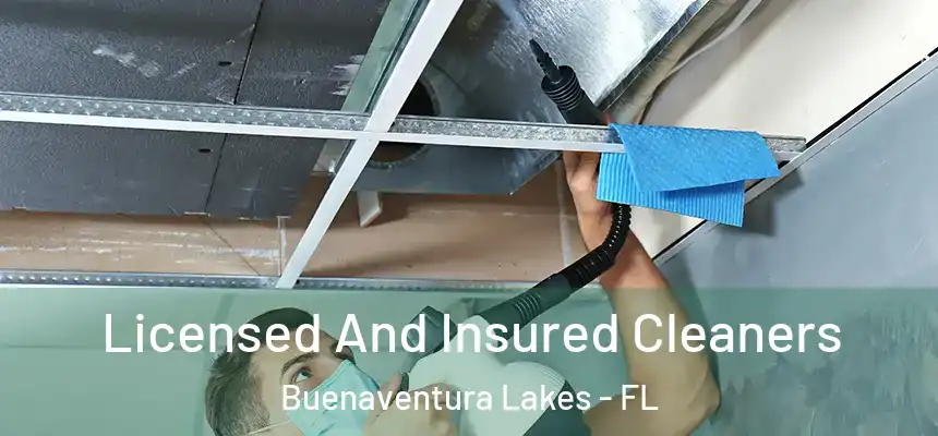 Licensed And Insured Cleaners Buenaventura Lakes - FL