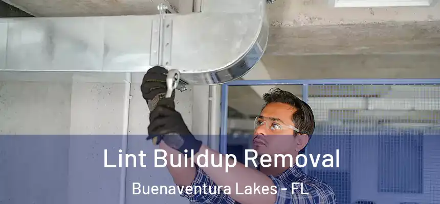  Lint Buildup Removal Buenaventura Lakes - FL