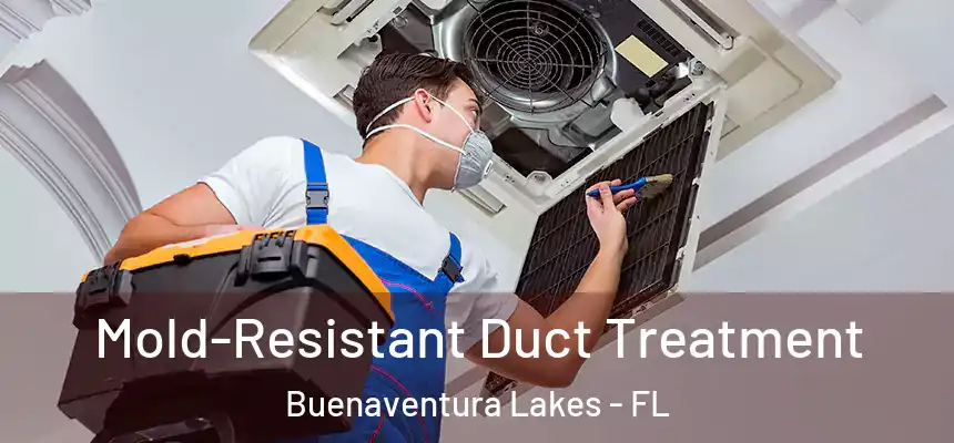 Mold-Resistant Duct Treatment Buenaventura Lakes - FL