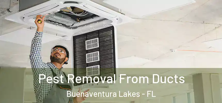 Pest Removal From Ducts Buenaventura Lakes - FL