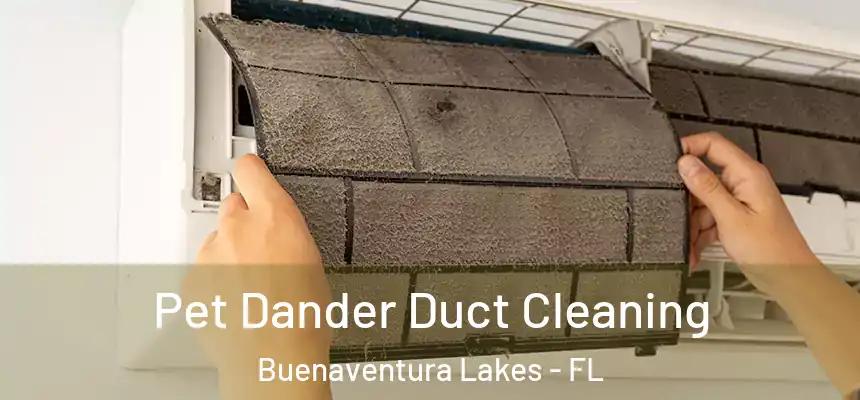 Pet Dander Duct Cleaning Buenaventura Lakes - FL