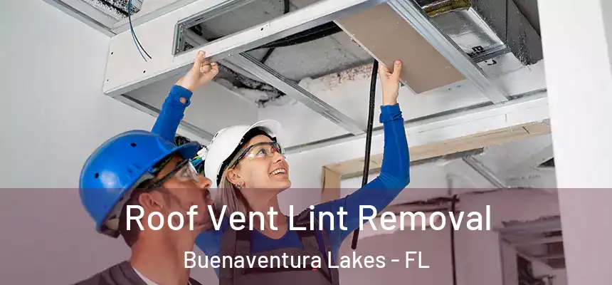  Roof Vent Lint Removal Buenaventura Lakes - FL