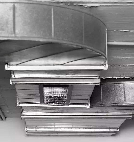 Professional Air Duct Pet Hair Removal in Buenaventura Lakes, FL