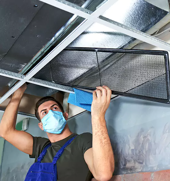Professional Air Duct Pollen Cleaning in Buenaventura Lakes, FL