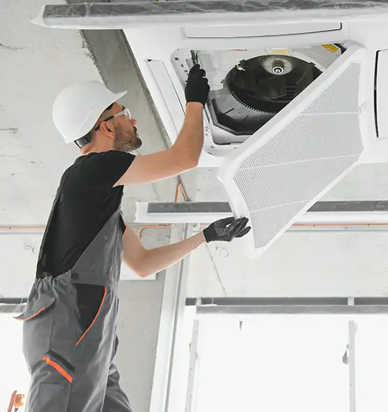 About Air Duct Rodent Removal in Buenaventura Lakes, FL