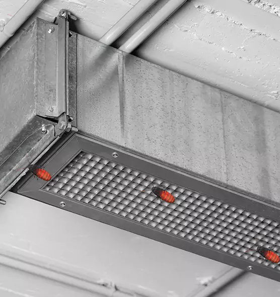 Affordable Insect Removal from Air Ducts in Buenaventura Lakes, FL