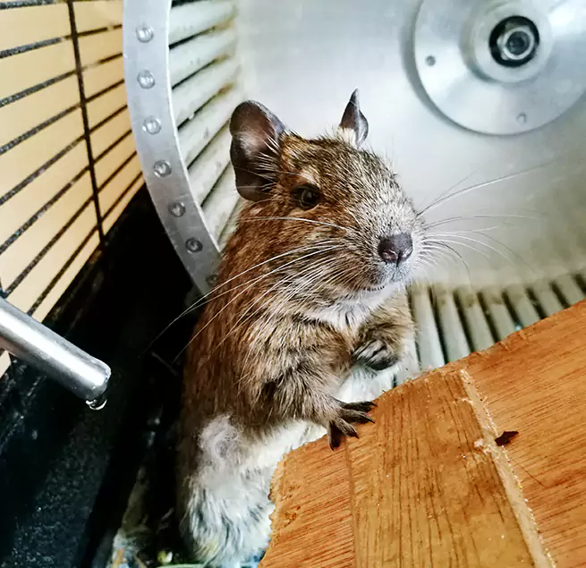 Why Homeowners & Businesses Trust Us Buenaventura Lakes, FL?