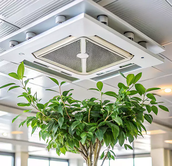 Why Homeowners & Businesses Trust Us in Buenaventura Lakes, FL?