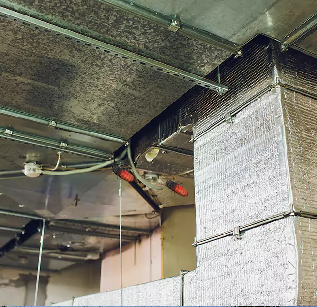 Why Homeowners & Businesses Trust Us Buenaventura Lakes, FL?