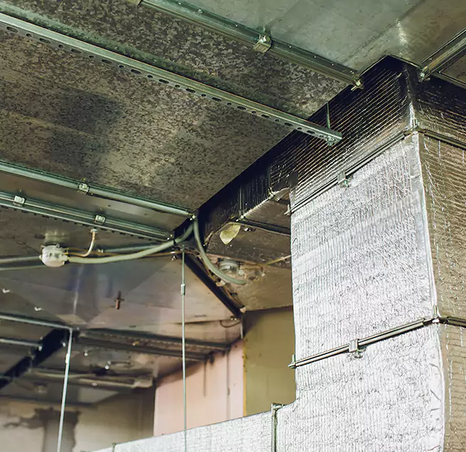 Why Homeowners & Businesses Trust Us in Buenaventura Lakes, FL?