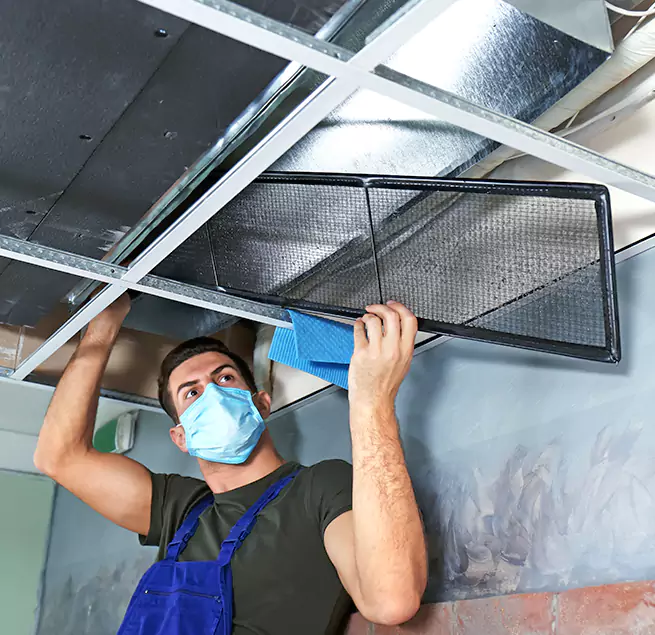 Why Homeowners Businesses Trust Us in Buenaventura Lakes, FL?